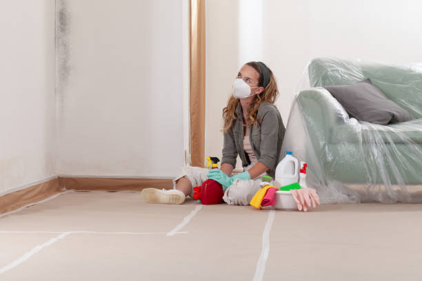 Reliable Mold Remediation contractor in Conroe, TX by Cheap Mold Removal